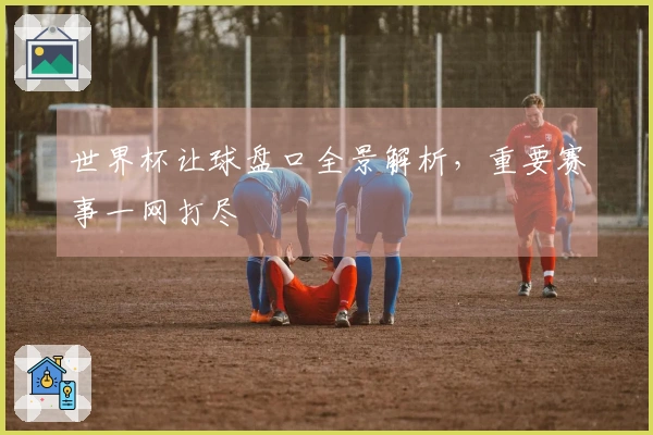 世界杯让球盘口全景解析，重要赛事一网打尽