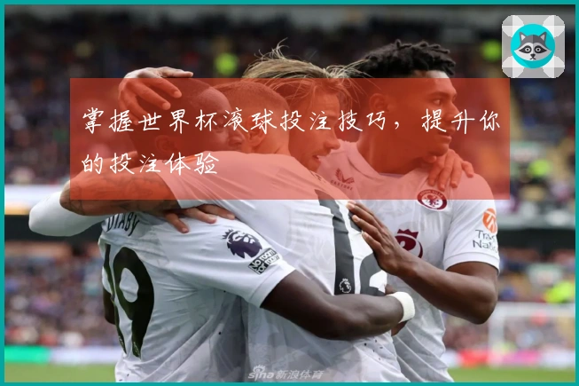 掌握世界杯滚球投注技巧，提升你的投注体验