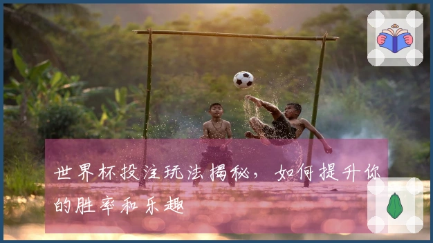 世界杯投注玩法揭秘，如何提升你的胜率和乐趣