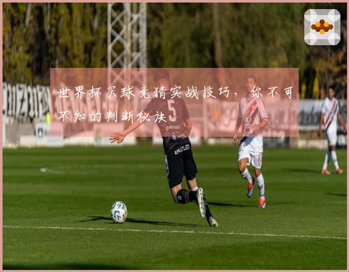 世界杯买球竞猜实战技巧，你不可不知的判断秘诀
