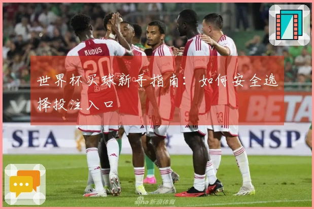 世界杯买球新手指南：如何安全选择投注入口