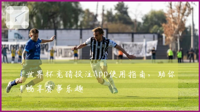 世界杯竞猜投注App使用指南，助你畅享赛事乐趣