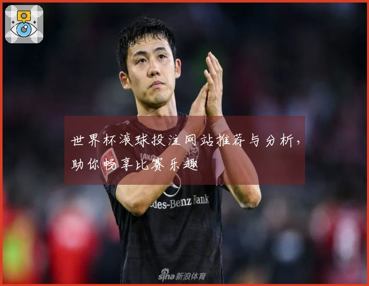 世界杯滚球投注网站推荐与分析，助你畅享比赛乐趣