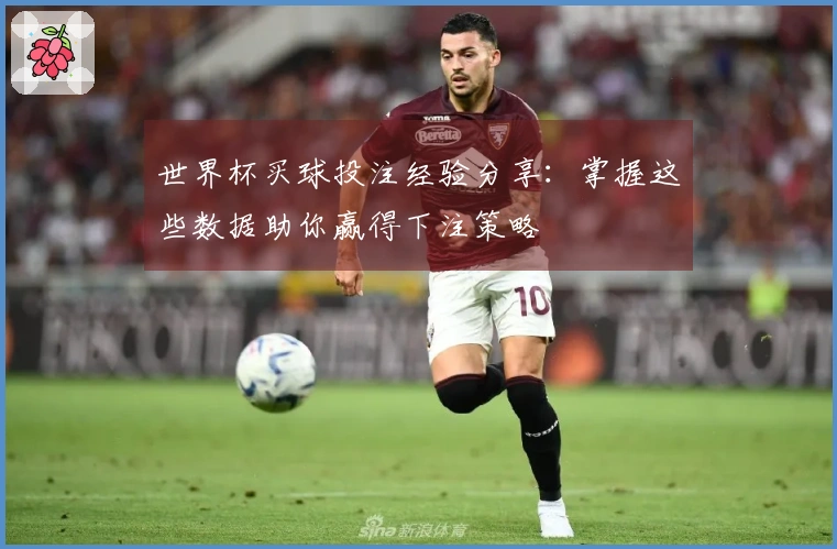 世界杯买球投注经验分享：掌握这些数据助你赢得下注策略