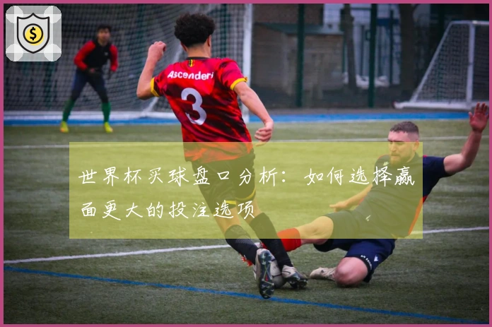 世界杯买球盘口分析：如何选择赢面更大的投注选项