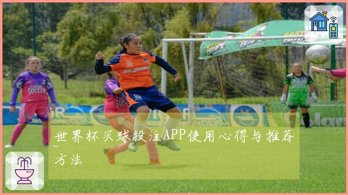 世界杯买球投注APP使用心得与推荐方法