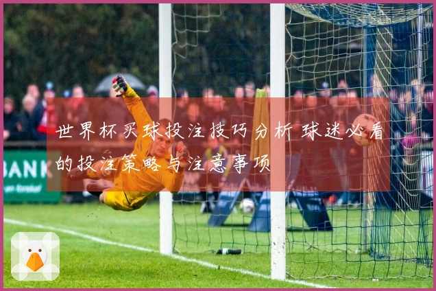 世界杯买球投注技巧分析 球迷必看的投注策略与注意事项