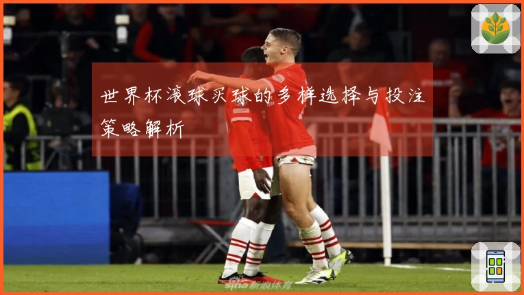 世界杯滚球买球的多样选择与投注策略解析
