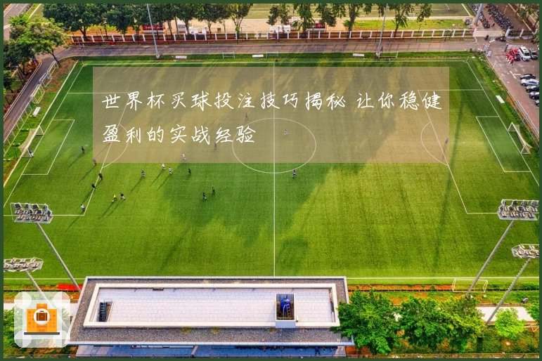 世界杯买球投注技巧揭秘 让你稳健盈利的实战经验