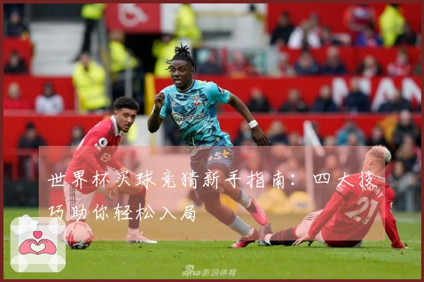 世界杯买球竞猜新手指南：四大技巧助你轻松入局