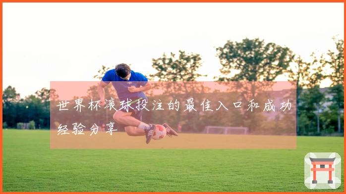 世界杯滚球投注的最佳入口和成功经验分享