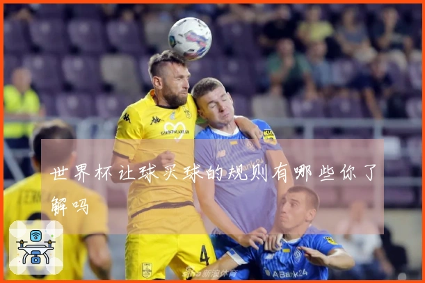 世界杯让球买球的规则有哪些你了解吗