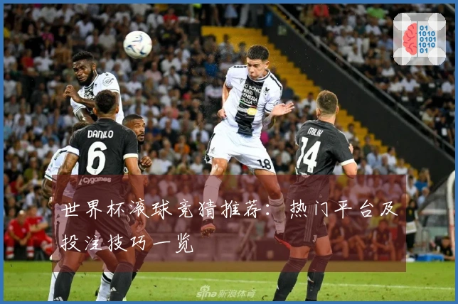 世界杯滚球竞猜推荐：热门平台及投注技巧一览