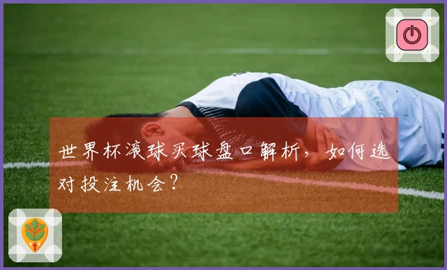世界杯滚球买球盘口解析，如何选对投注机会？