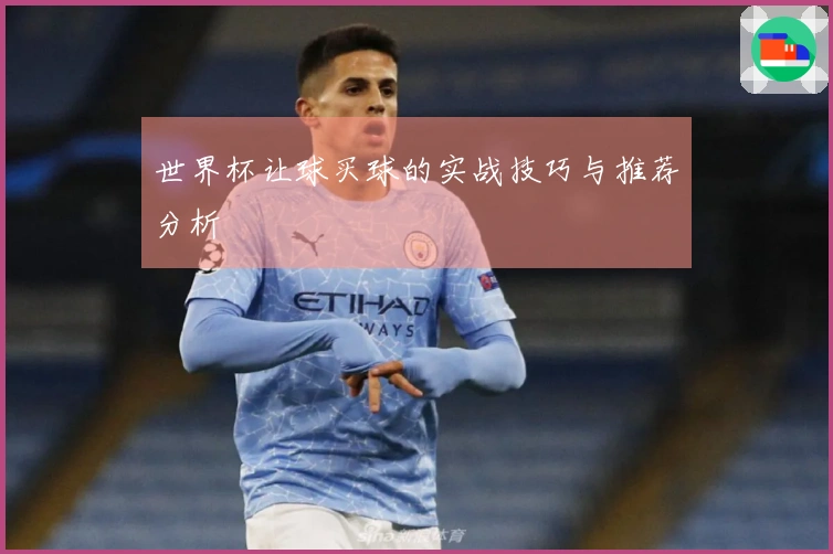 世界杯让球买球的实战技巧与推荐分析