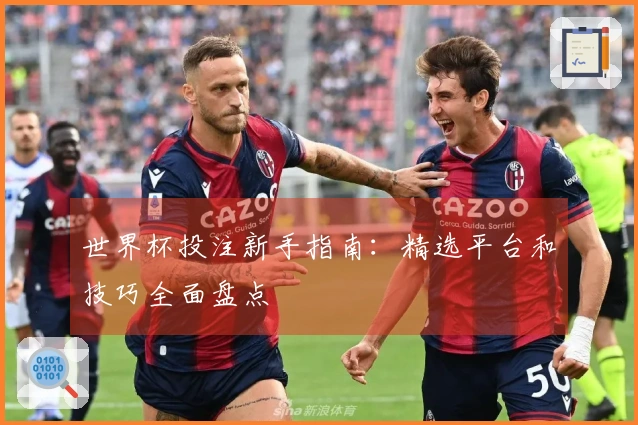 世界杯投注新手指南：精选平台和技巧全面盘点