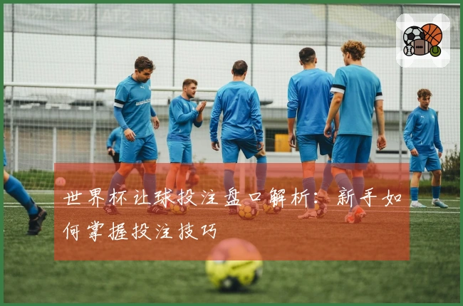 世界杯让球投注盘口解析：新手如何掌握投注技巧
