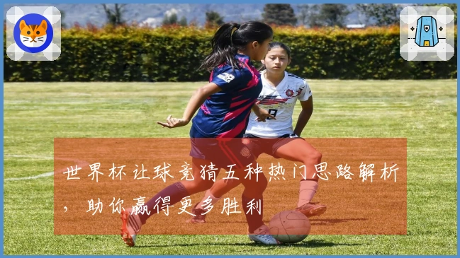 世界杯让球竞猜五种热门思路解析，助你赢得更多胜利