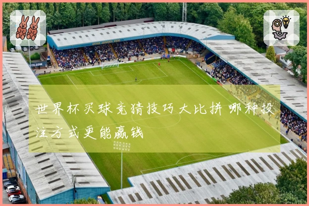 世界杯买球竞猜技巧大比拼 哪种投注方式更能赢钱