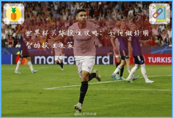 世界杯买球投注攻略：如何做好明智的投注决策