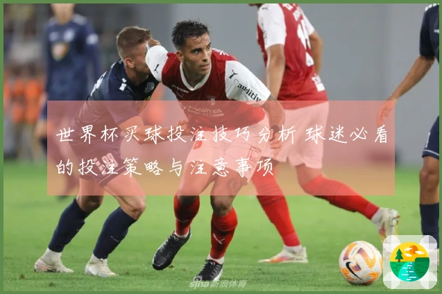 世界杯买球投注技巧分析 球迷必看的投注策略与注意事项