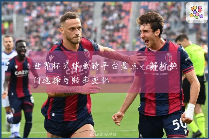 世界杯买球竞猜平台盘点,解析热门选择与赔率变化